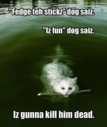 LOLCat: "Fedge teh sticks" dog saiz. "Iz fun" dog saiz. Iz gunna kill him dead.