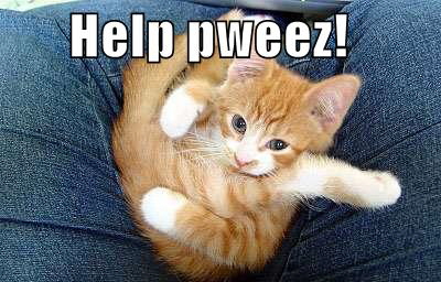 LOLCat: help pweez!