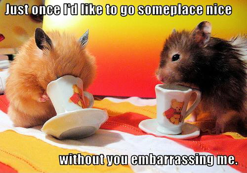 LOL: just once I'd like to go someplace nice without you embarrassing me.