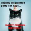 LOLCat: slightly disgruntled party cat says... HAPPY FRIGGIN BIRTHDAY