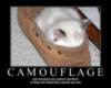 LOLCat: CAMOUFLAGE Just because you cannot see them It does not mean they cannot see you