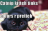 LOLCat: Catnip kitten tinks colurs r pretteh