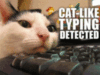 LOLCat: cat-like typing detected