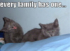 LOLCat: every family has one...