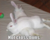 LOL: Hot cross buns