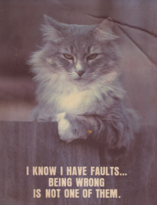 LOLCat: I know I have faults... Being wrong is not one them.