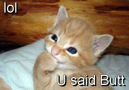 LOLCat: U said Butt