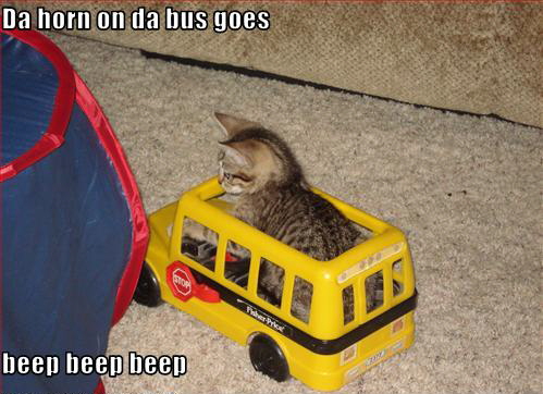 LOLCat: Da horn on da bus goes beep beep beep 