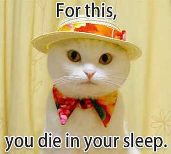 LOLCat: For this, you die in your sleep.