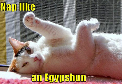 LOLCat: Nap like an Egypshun