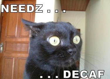 LOLCat: Needz... decaf