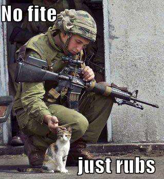 LOLCat: No fite just rubs