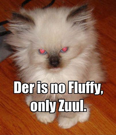 LOLCat: Der is no Fluffy, only Zuul.