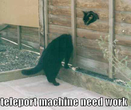 LOLCat: teleport machine need work