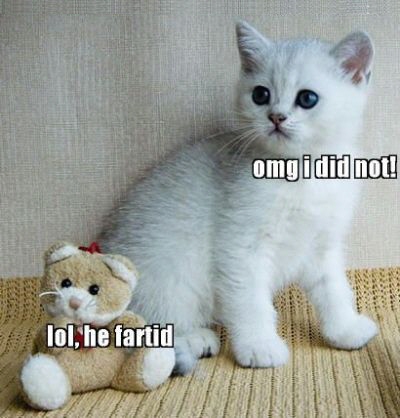 LOLCat: lol, he fartid Omg i did not!