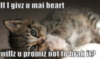 LOLCat: If divz u mai heart willz u promiz not to brak it?