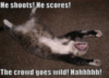 LOLCat: He shoots! He scores! The crowd goes wild! Hahhhhhh!