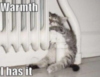 LOLCat: Warmth I has it