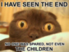 LOLCat: I have seen the end No one was spared, not even the children