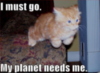 LOLCat: I must go. My planet needs me.
