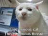 LOLCat: I are serious cat. This is serious thread.