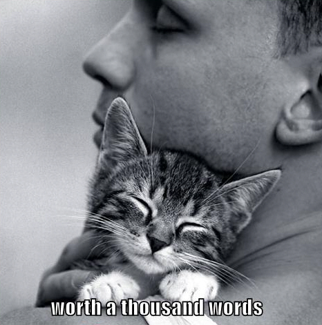 LOLCat: worth a thousand words