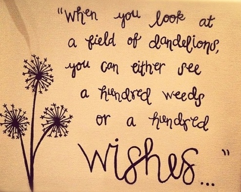 "When you look at a field of dandelions, you can either see a hundred weeds or a hundred wishes..."