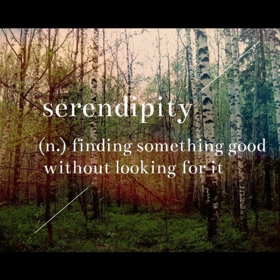 Serendipity :: Quotes :: MyNiceProfile.com