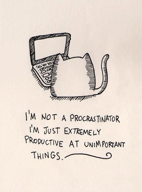 I'm not a procrastinator. I'm just extremely productive at unimportant things.