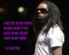 I got ice in my viens blood in my eyes hate in my heart love in my mind. Lil Wayne