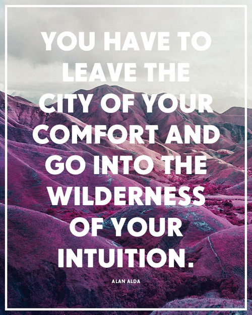 You have to leave the city of your comfort and go into the wilderness of your intuition. Alan Alda