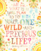 Tell me, what is it you plan to do with your ONE WILD and PRECIOUS LIFE? Mary Oliver