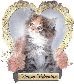 Happy Valentine Cute Kitten