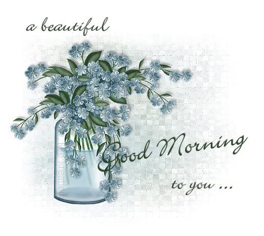 A Beautiful Good Morning to you ...