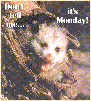Don't tell me... It's Monday!