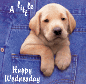 A little Happy Wednesday Wish!