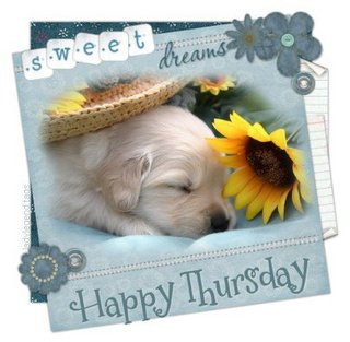 Sweet Dreams Happy Thursday