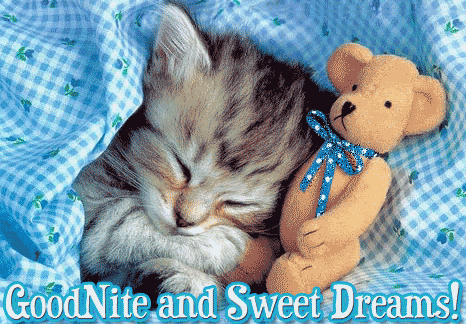 Good night and Sweet dreams!