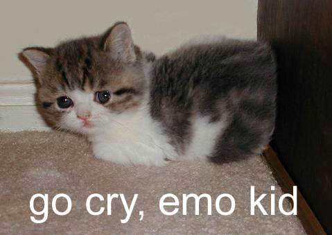 LOLCat: Go cry, emo kid