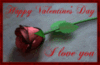 Happy Valentine's Day: I Love You