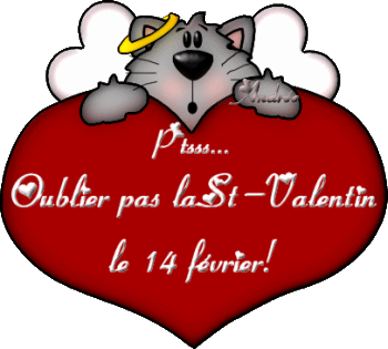 Ptsss... Oublier pas la St-Valentin le 14 fevrier!