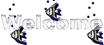 Welcome Fish