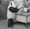 Panda in the office