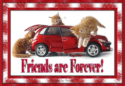 Friends are Forever!