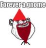 Forever a Gnome
