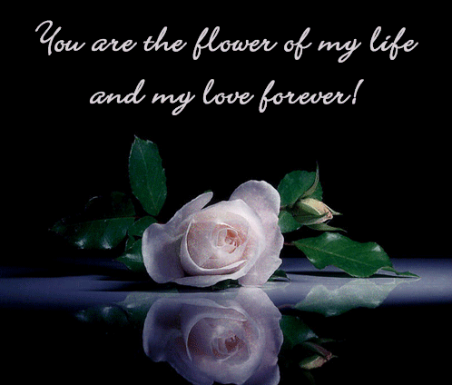You are the flower of my life and my love forever!