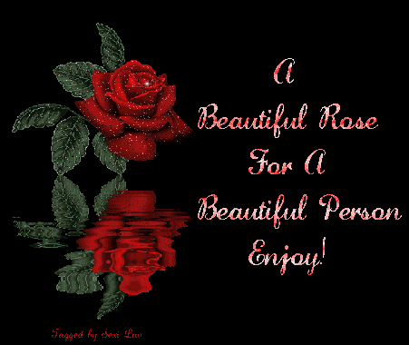A Beautiful Rose For A Beautiful Person Enjoy!