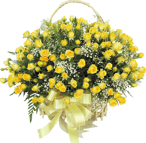 Yellow roses