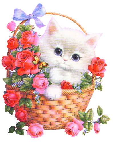 Cute white kitten & flowers