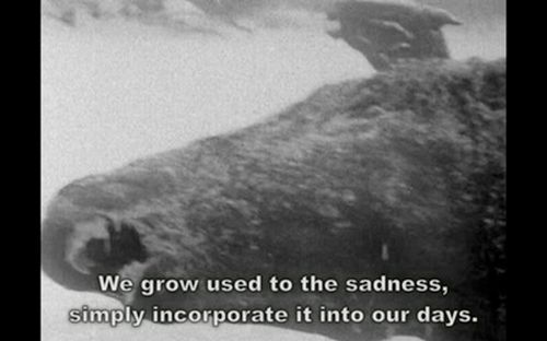 We grow used to the sadness, simply incorporate it into our days.